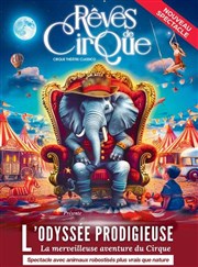 Rves de Cirque dans L'Odysse Prodigieuse | Avignon