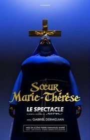 Soeur Marie Thrse des Batignolles, Le Spectacle !