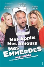 Mes applis, mes amours, mes emmerdes Thtre  l'Ouest Affiche