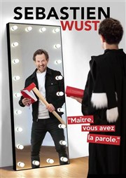 Sébastien Wust dans Maître, vous avez la parole Le Darcy Comdie Affiche