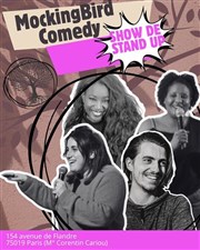 Stand up show