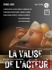 Stage : La valise de l'acteur Petit Thtre CAS Affiche