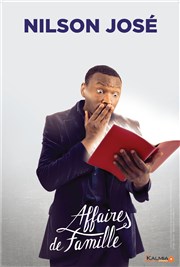 Nilson José dans Affaires de famille Thtre Congrier Affiche