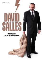 David Salles dans Pourquoi j'ai pété les plombs Le Capitole - Salle 3 Affiche