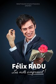 Félix Radu dans Les Mots s'improsent La Compagnie du Caf-Thtre - Petite salle Affiche