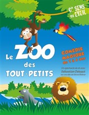 Le zoo des tout petits Thtre Divadlo Affiche