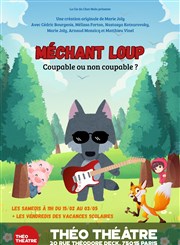 Méchant Loup Tho Thtre - Salle Plomberie Affiche