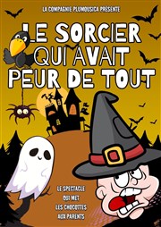 Le sorcier qui avait peur de tout Thtre Ronny Coutteure - La Ferme des Hirondelles Affiche