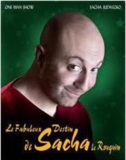 Sacha Judaszko dans Le fabuleux destin de Sacha le rouquin Comedy Palace Affiche