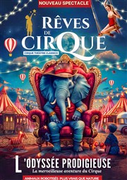 Le Cirque Classico dans Rêves de Cirque | Laval Chapiteau Rves de Cirque  Laval Hippodrome de Bellevue-la-fort Affiche