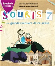 Souris 7 Foyer Rural Affiche