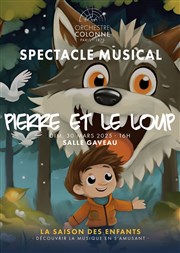 Pierre et le Loup Salle Gaveau Affiche