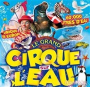 Le Cirque sur l'Eau | - Montauban Chapiteau Le Cirque sur l'Eau  Montauban Affiche