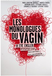 Les monologues du vagin Palais des Congrs de Lorient Affiche