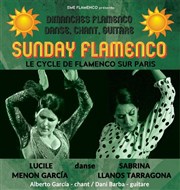 Sunday Flamenco Pniche Antipode Affiche