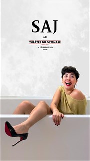 SAJ Petit gymnase au Thatre du Gymnase Marie-Bell Affiche