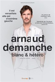 Arnaud Demanche dans Blanc & Hétéro Thtre  l'Ouest Affiche