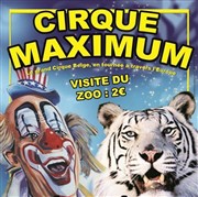 Le Cirque Maximum dans 100% cirque | - La Tranche sur Mer Chapiteau Maximum  La Tranche sur Mer Affiche