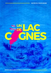 Un Lac de Cygnes Thtre Pixel Affiche