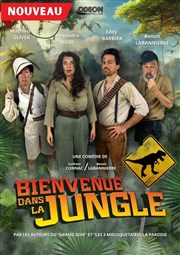 Bienvenue dans la jungle L'Odeon Montpellier Affiche