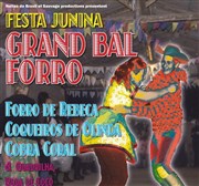 Festa Junina | Grand bal forro Cabaret Sauvage Affiche