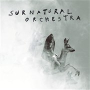 Surnatural Orchestra Studio de L'Ermitage Affiche