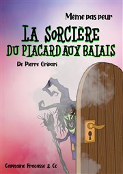 La sorcière du placard aux balais Thtre de l'Eau Vive Affiche