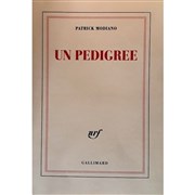 Un pedigree de Patrick Modiano Thtre du Nord Ouest Affiche