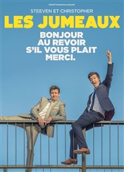 Les Jumeaux dans Bonjour, Au revoir, S'il vous plait, Merci Confidentiel Thtre Affiche