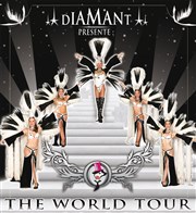 Dîner Spectacle Cabaret & Transformiste | Les oiseaux de nuit - The World Tour Casino Flamingo Affiche