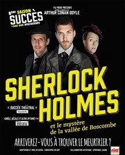 Sherlock Holmes et le mystère de la vallée de Boscombe Thtre des 3 Cls Affiche