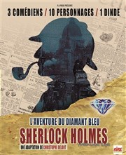 Sherlock Holmes et l'Aventure du diamant bleu Thtre des 3 Cls Affiche