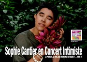 Sophie Cantier en concert intimiste Rare Gallery Affiche