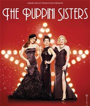 The Puppini Sisters L'Olympia Affiche