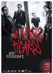 Les Fatals Picards Maison de la musique Affiche