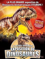 Le Musée Ephémère : Les dinosaures arrivent à Clermont-Ferrand Grande Halle d'Auvergne Affiche