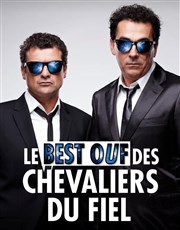 Les Chevaliers du Fiel dans Le Best Ouf Thtre le Rhne Affiche