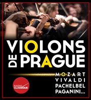 Violons de Prague | Annecy Cathdrale Saint Pierre Affiche