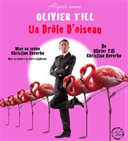 Olivier Till dans Un drôle d'oiseau Thtre Portail Sud Affiche