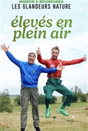 Les Glandeurs Nature dans Elevés en plein air Le Lzard Affiche