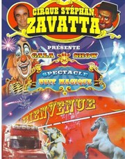 Cirque Stéphan Zavatta dans Nuit magique | - Carpentras Chapiteau Cirque Stephan Zavatta  Carpentras Affiche