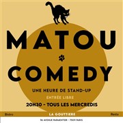 Matou Comedy La Gouttire Affiche