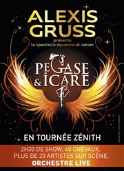 Cirque Alexis Gruss dans Pégase & Icare Znith de Limoges Affiche