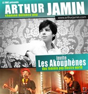 Arthur Jamin + Les Akouphènes La Dame de Canton Affiche