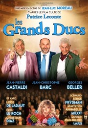 Les grands ducs Gare du Midi Affiche