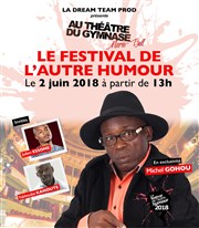 Le Festival de l'Autre Humour Thtre du Gymnase Marie-Bell - Grande salle Affiche