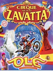 Le Cirque Nicolas Zavatta Douchet dans Olé | Douchet Dreux Chapiteau Cirque Nicolas Zavatta Douchet Affiche