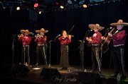 MariaChido Le Son de la Terre Affiche