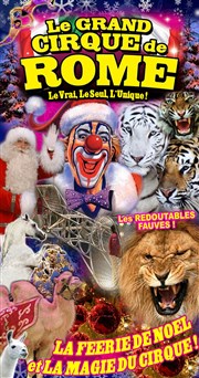 Le Cirque de Noël du Grand Cirque de Rome | - Montpellier Le Grand Cirque de Rome  Montpellier Affiche