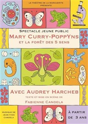 Mary Curry-Poppyns et la forêt des 5 sens Thtre de la Cit Affiche